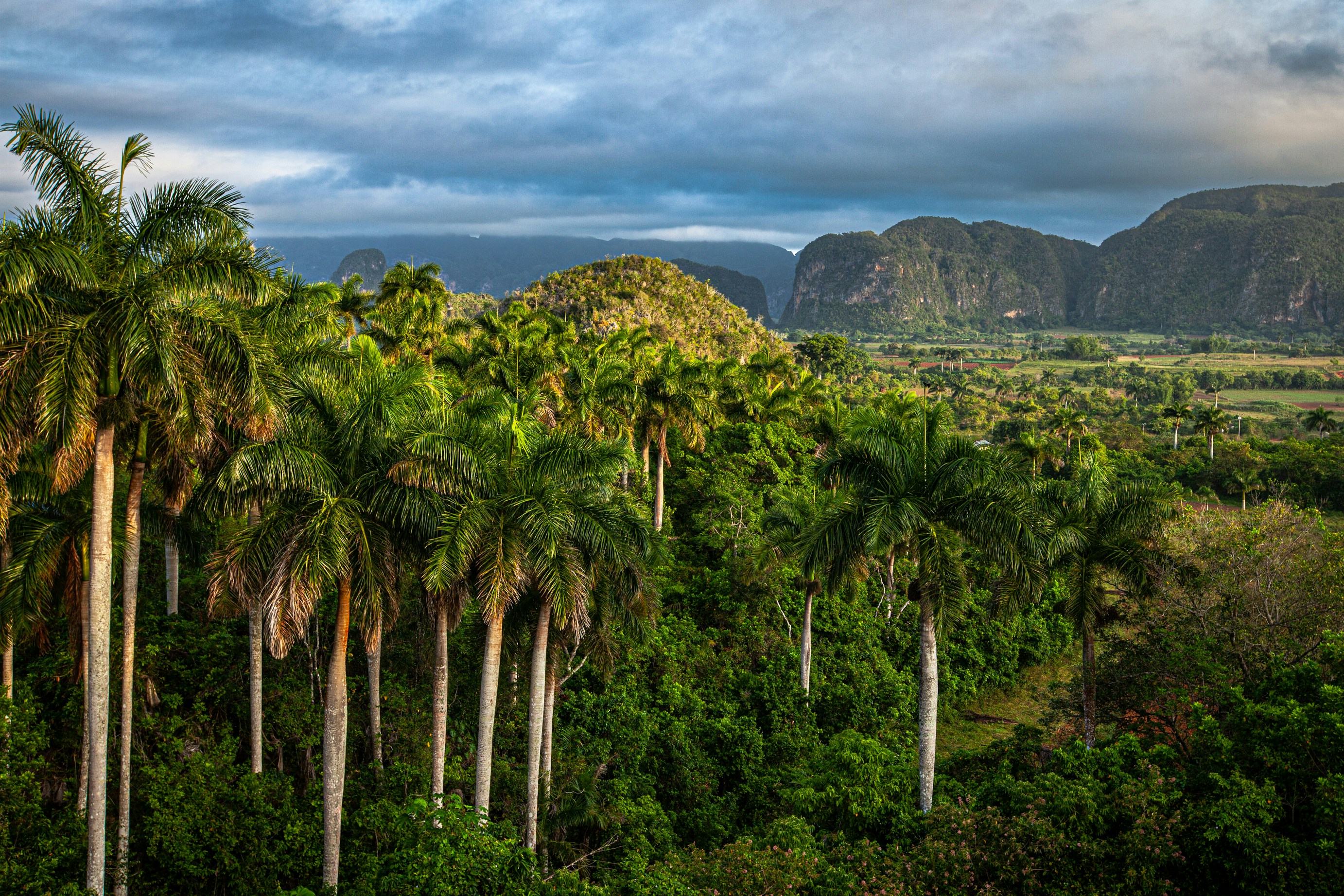 Viñales 1
