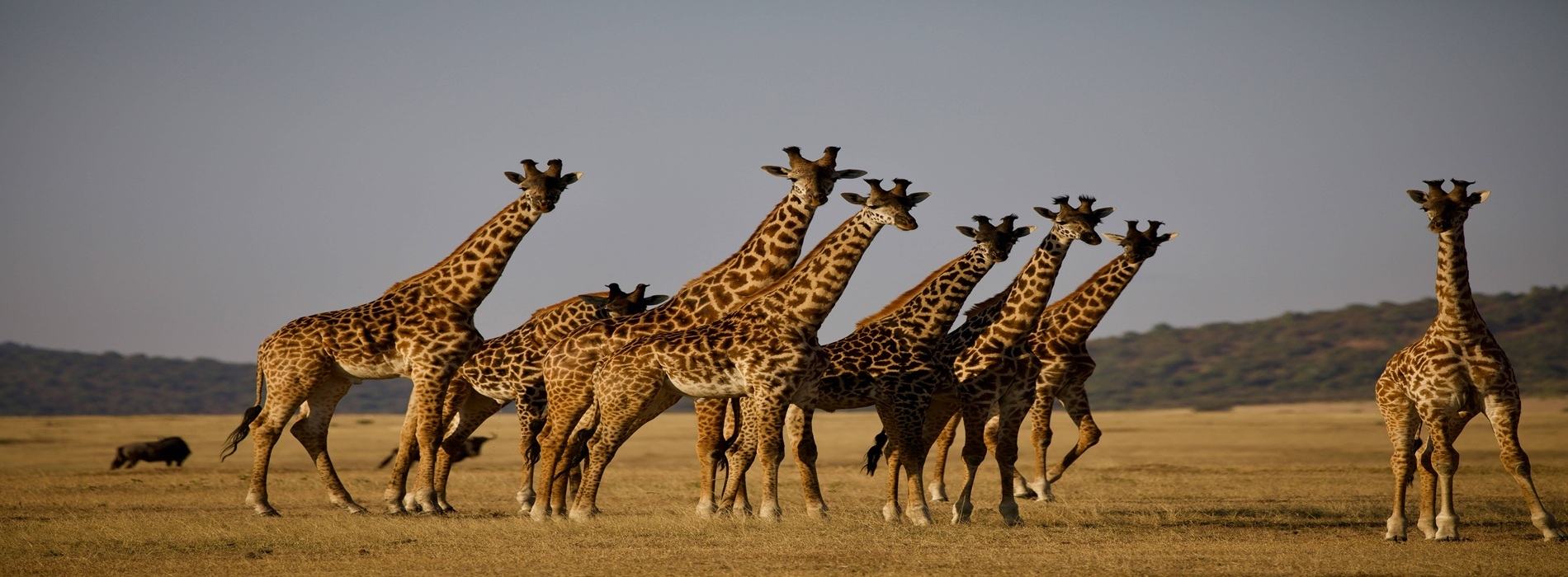 tanzania