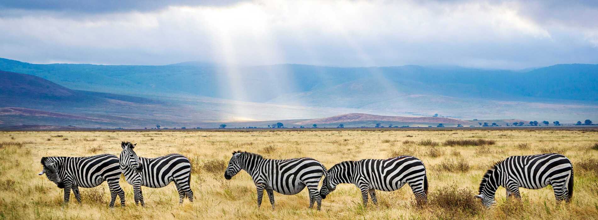 tanzania